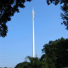 Профессиональные башни радиосвязей, замаскированная башня дерева сосенки